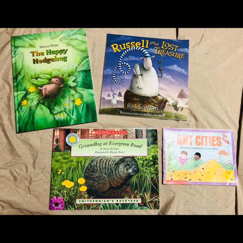 Set of 4 Scholastic Reading Books